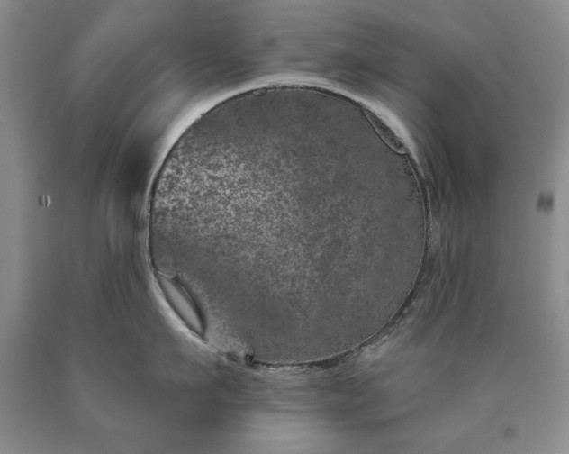 X0000090440911200707201250