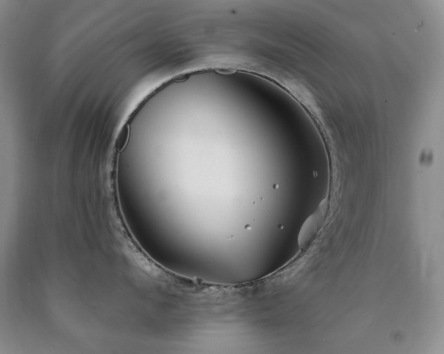 X0000090440912200707201250