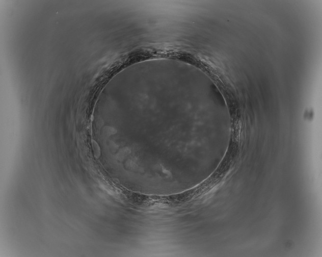 X0000090440913200707201250