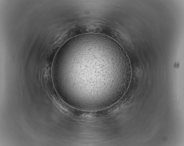 X0000090440914200707201250