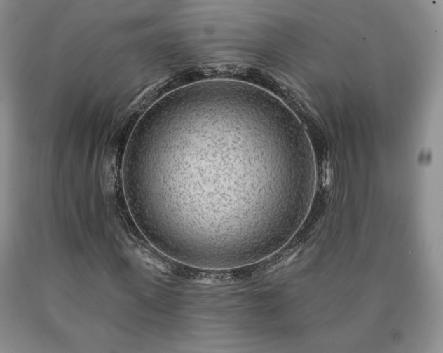 X0000090440915200707201250