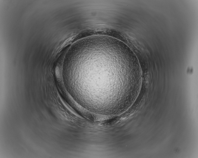 X0000090440916200707201250