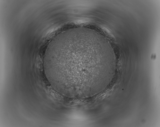 X0000090440917200707201250