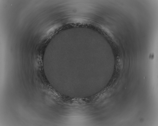 X0000090440918200707201250