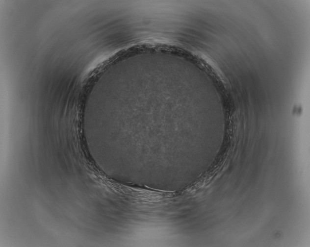 X0000090440919200707201250