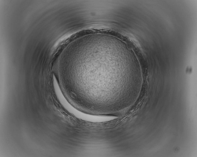 X0000090440920200707201250