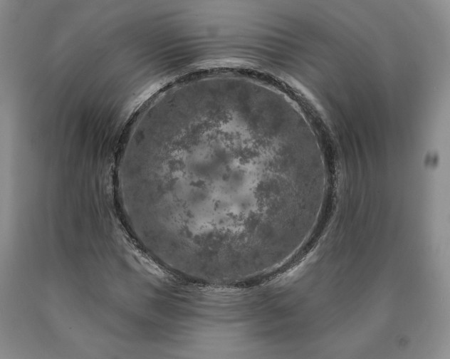 X0000090440921200707201250