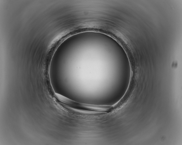 X0000090440922200707201250