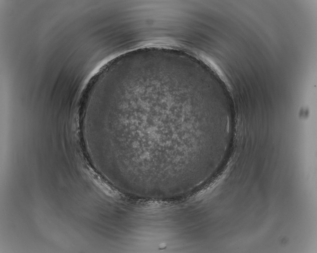 X0000090440923200707201250