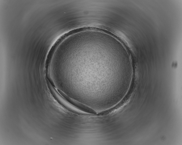 X0000090440924200707201250