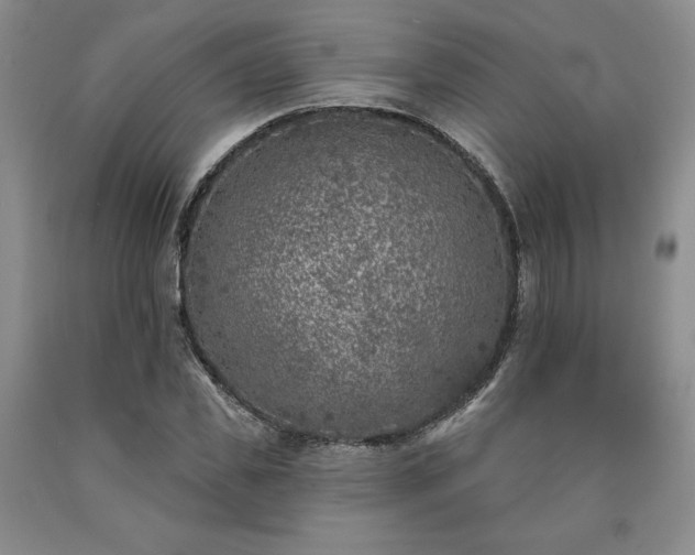 X0000090440925200707201250