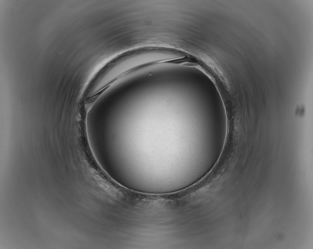 X0000090440926200707201250