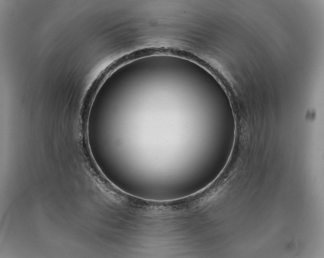 X0000090440927200707201250