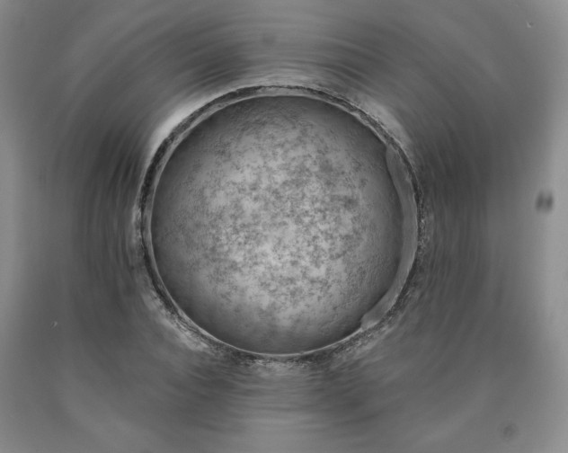 X0000090440928200707201250