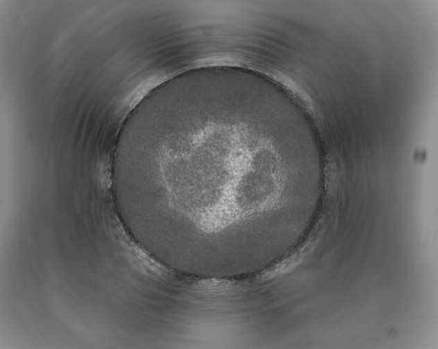 X0000090440929200707201250