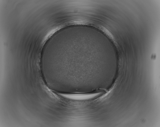 X0000090440930200707201250