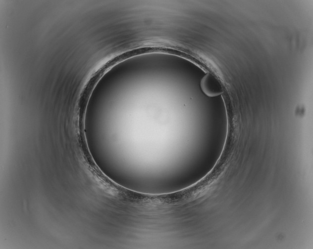 X0000090440931200707201250