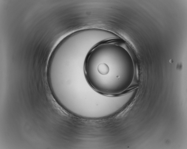 X0000090440932200707201250