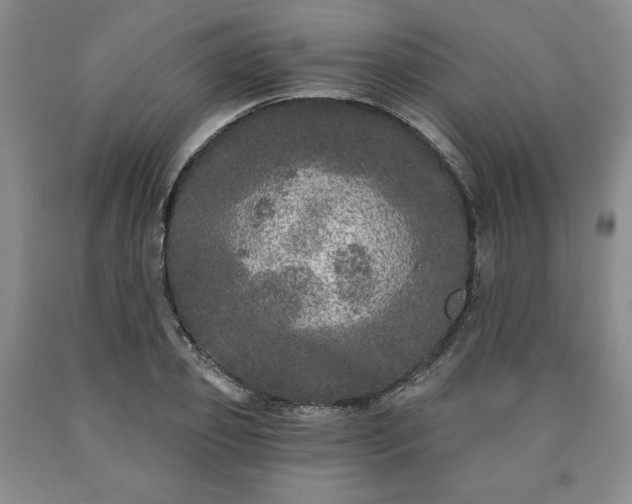 X0000090440933200707201250