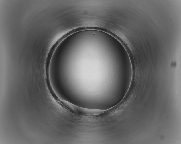 X0000090440935200707201250