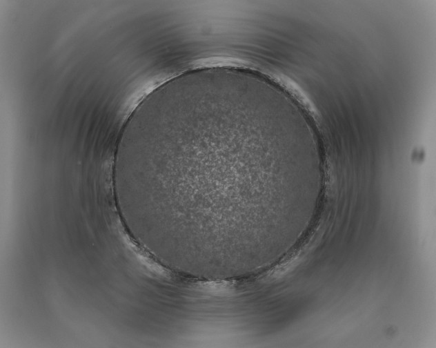 X0000090440937200707201250