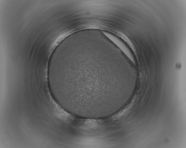 X0000090440938200707201250