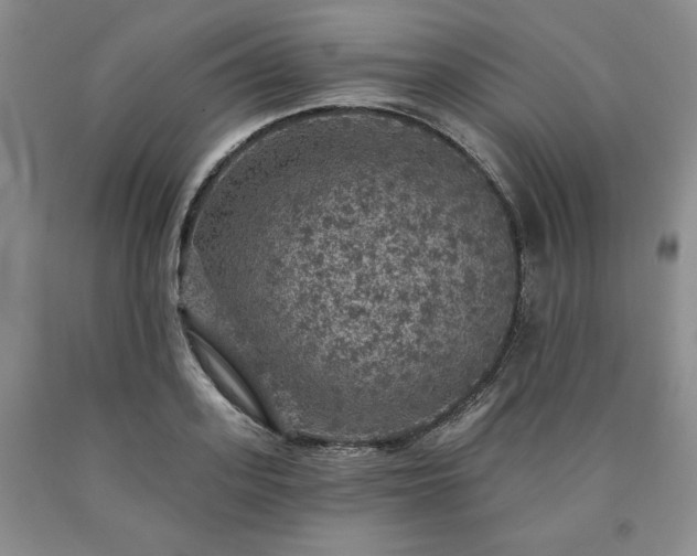 X0000090440939200707201250