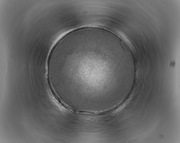 X0000090440940200707201250