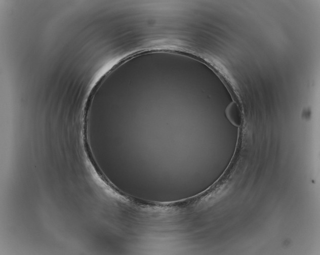 X0000090440941200707201250