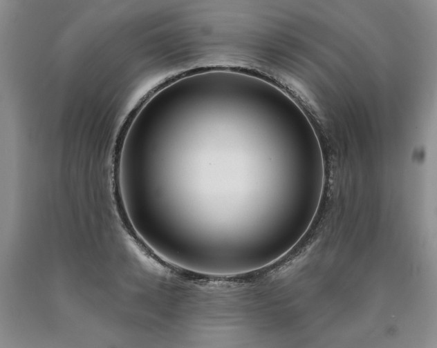 X0000090440942200707201250