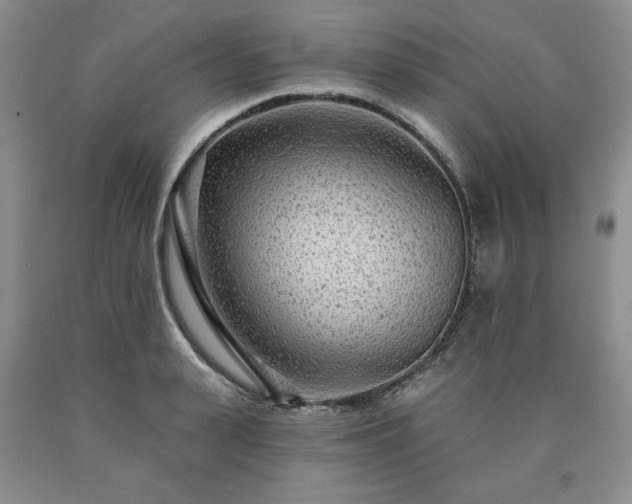 X0000090440943200707201250