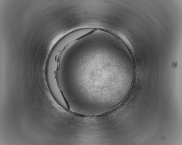 X0000090440944200707201250