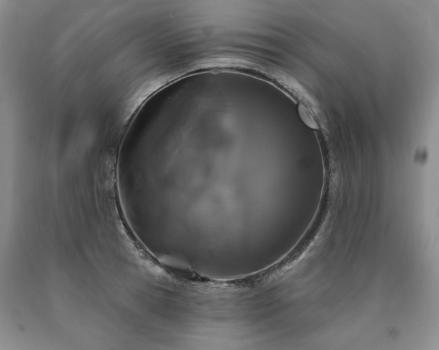 X0000090440945200707201250