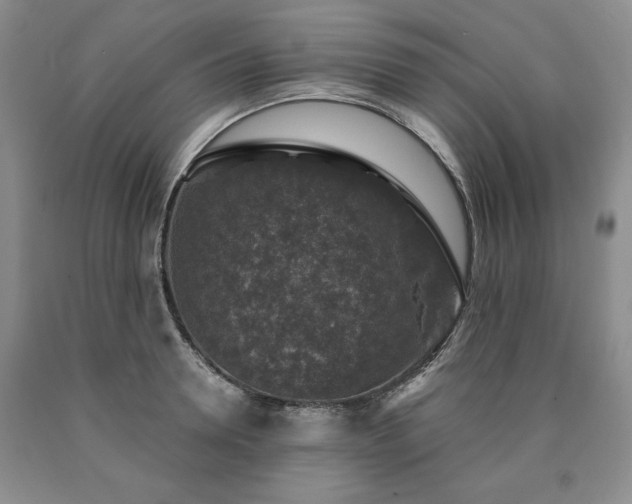 X0000090440946200707201250