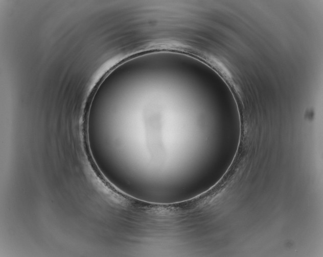 X0000090440947200707201250