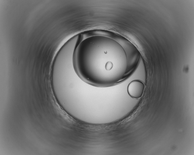 X0000090440948200707201250