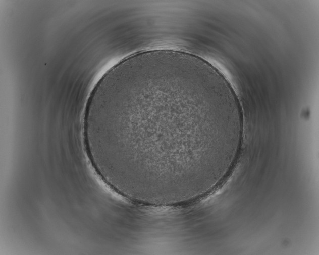 X0000090440949200707201250