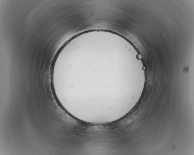 X0000090440950200707201250