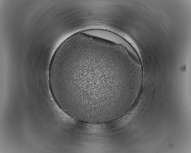 X0000090440951200707201250