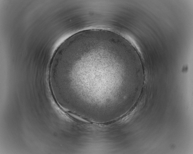 X0000090440952200707201250