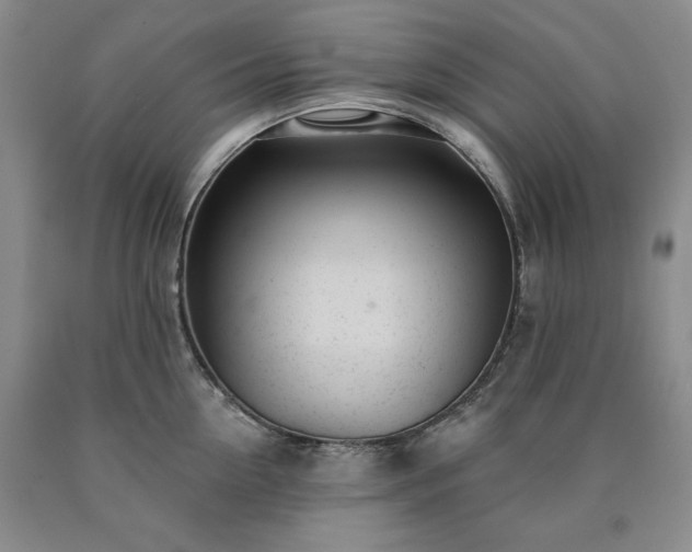 X0000090440954200707201250