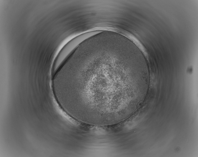 X0000090440955200707201250