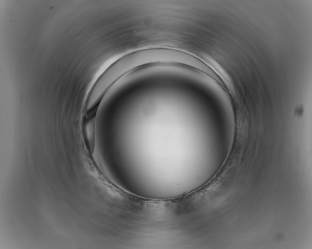 X0000090440956200707201250