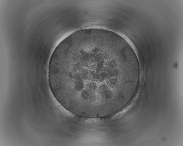 X0000090440957200707201250