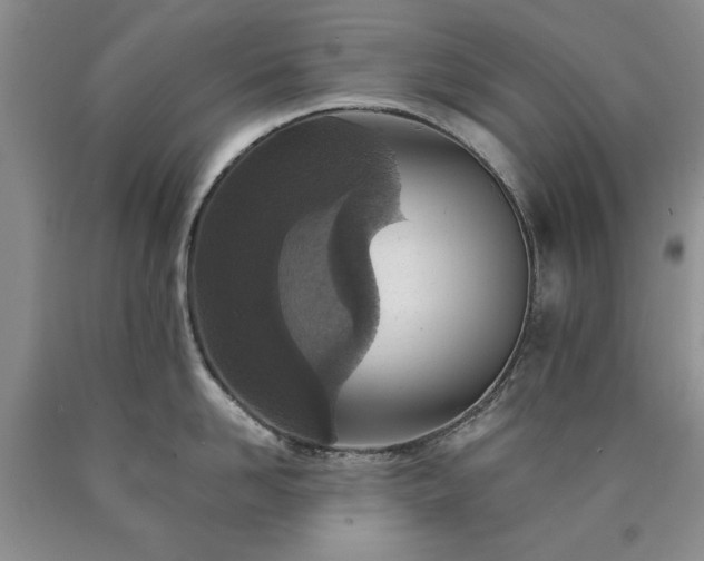 X0000090440958200707201250