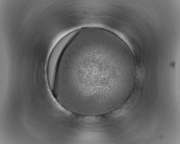 X0000090440959200707201250