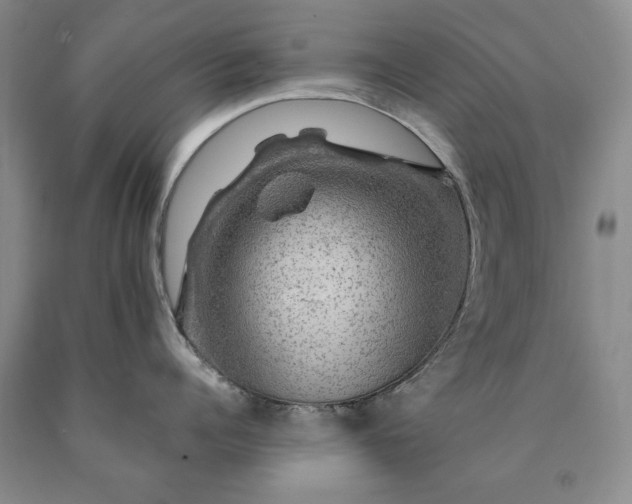 X0000090440960200707201250