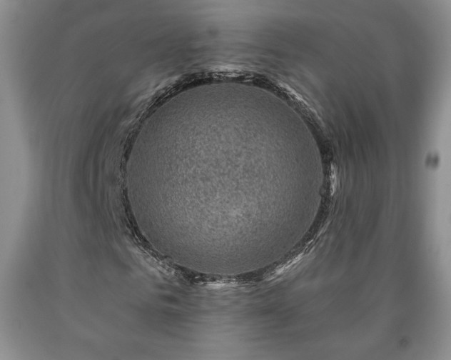 X0000090440961200707201250