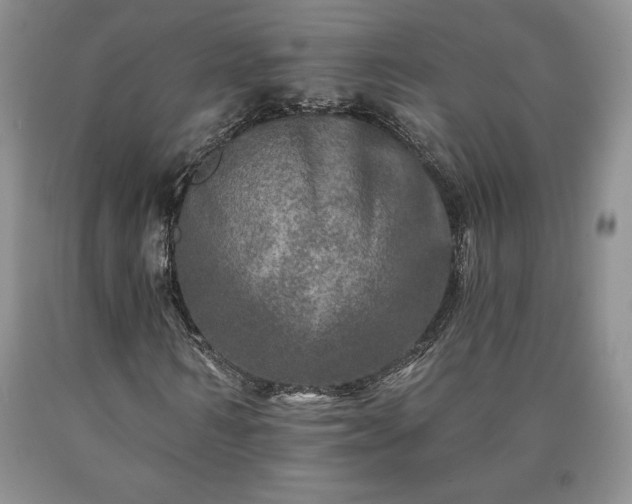 X0000090440962200707201250