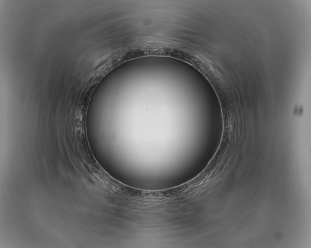 X0000090440964200707201249